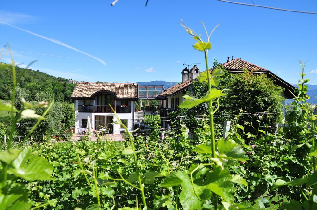 Weingut Weidlhof - Suite & Breakfast - Vacation For Wine Lovers Caldaro Luaran gambar